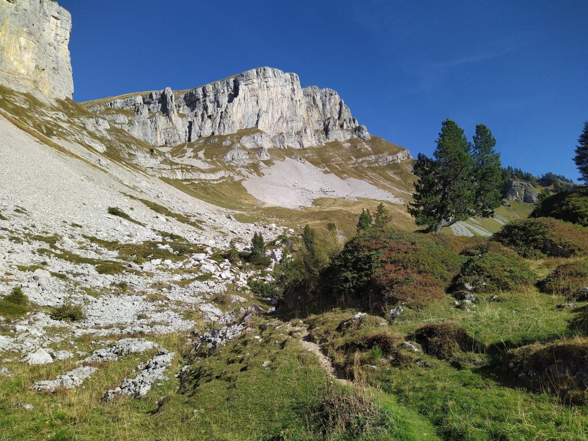 IMG-20231012-WA0039