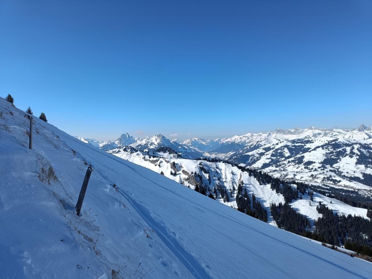 IMG20230209113127