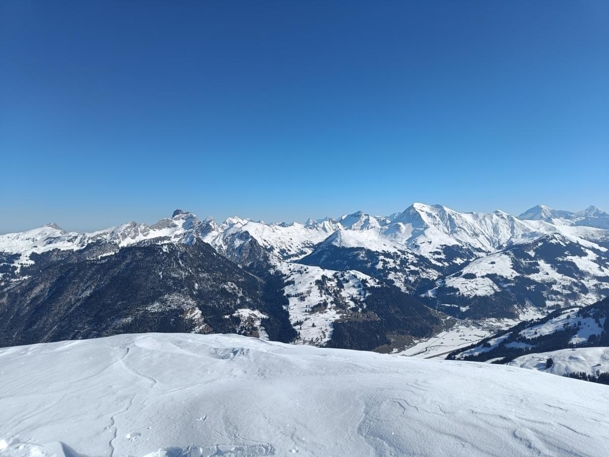 IMG20230209122638