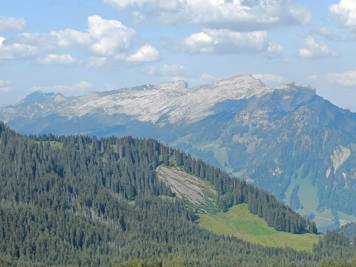 IMG20230617100311
