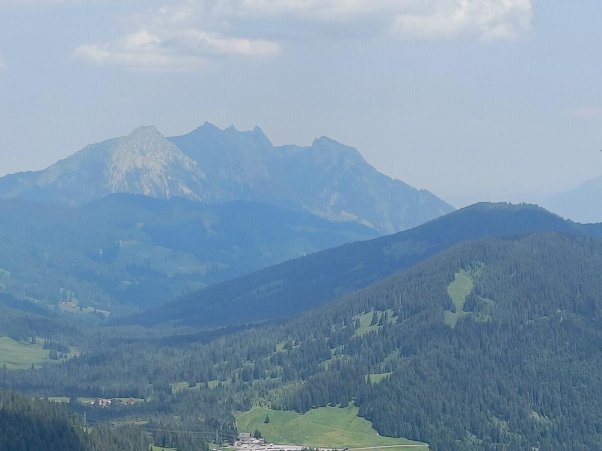 IMG20230617130953