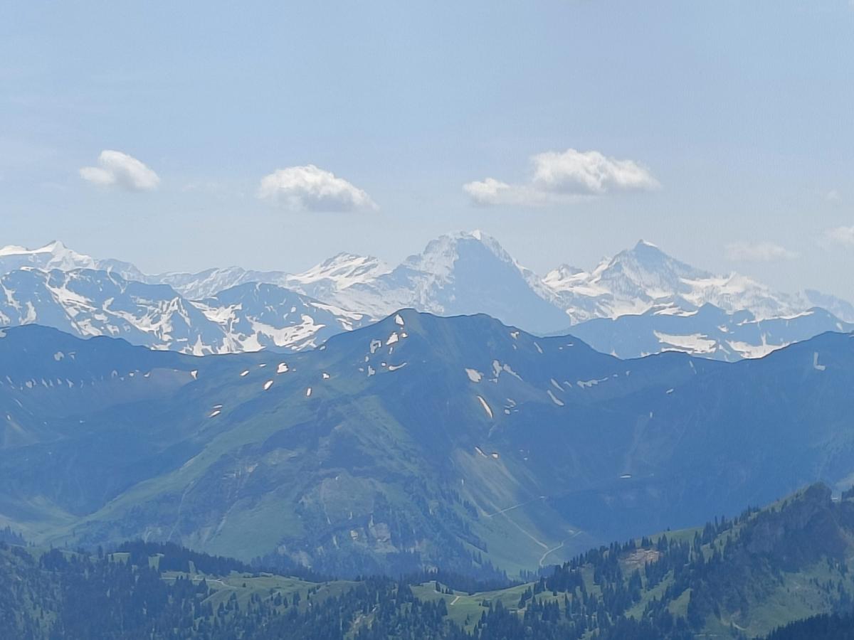 IMG20230617131021