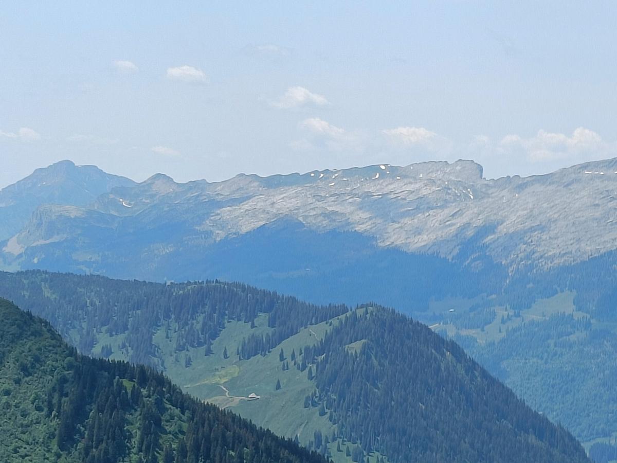 IMG20230617131028