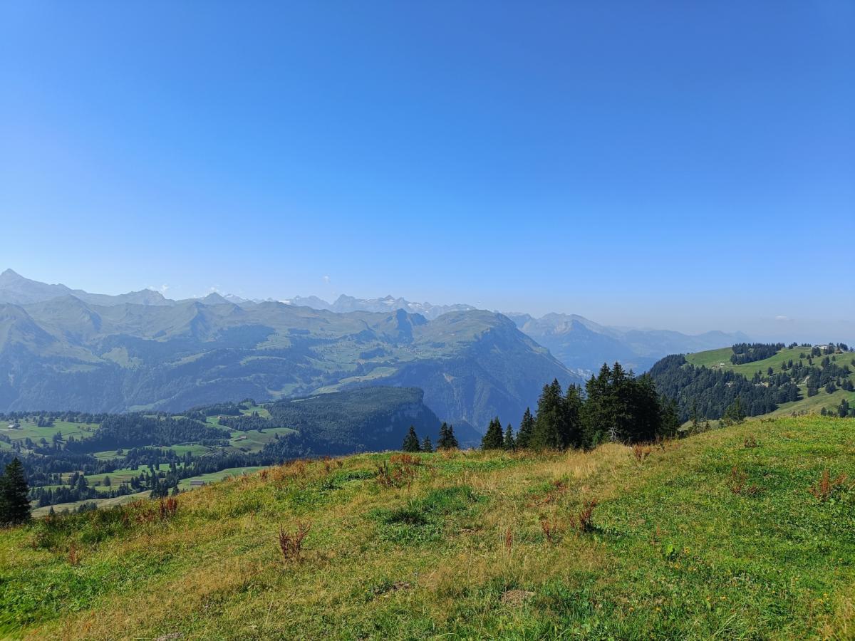 IMG20230822111928