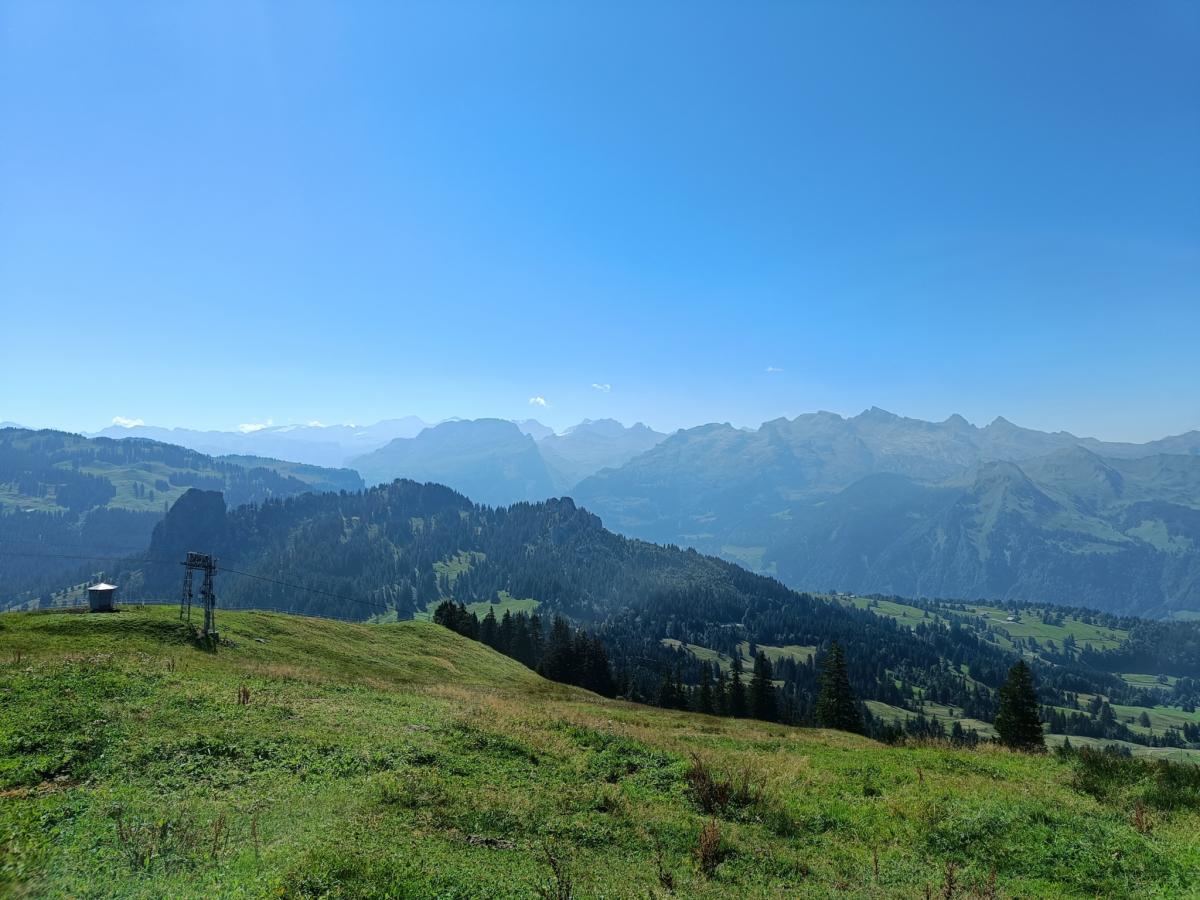 IMG20230822111930