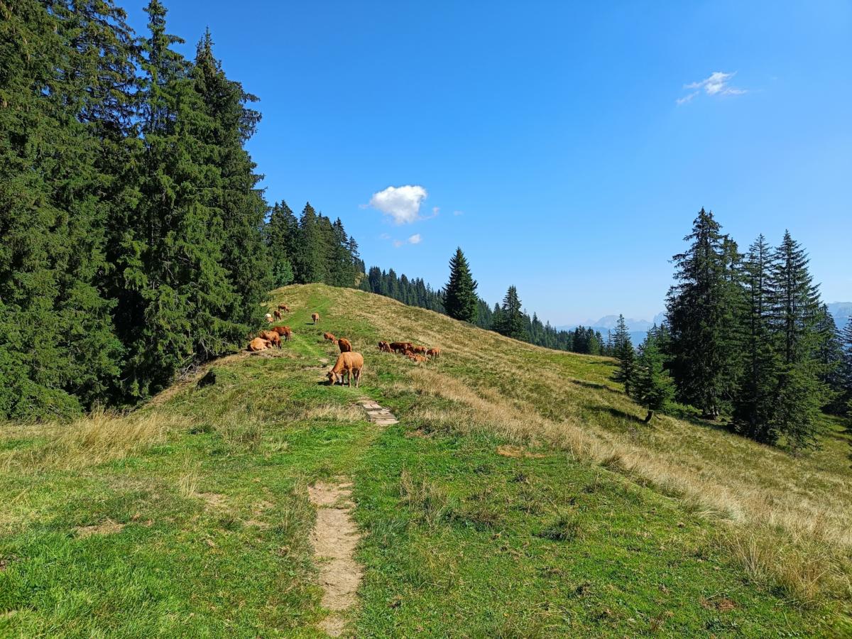 IMG20230822113857