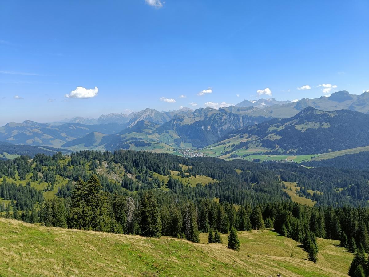 IMG20230822132342
