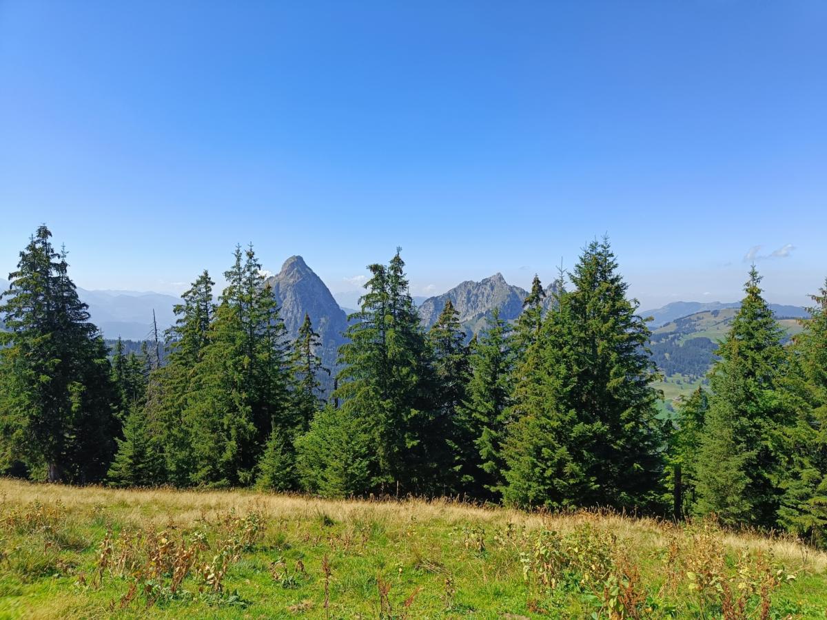 IMG20230822132349