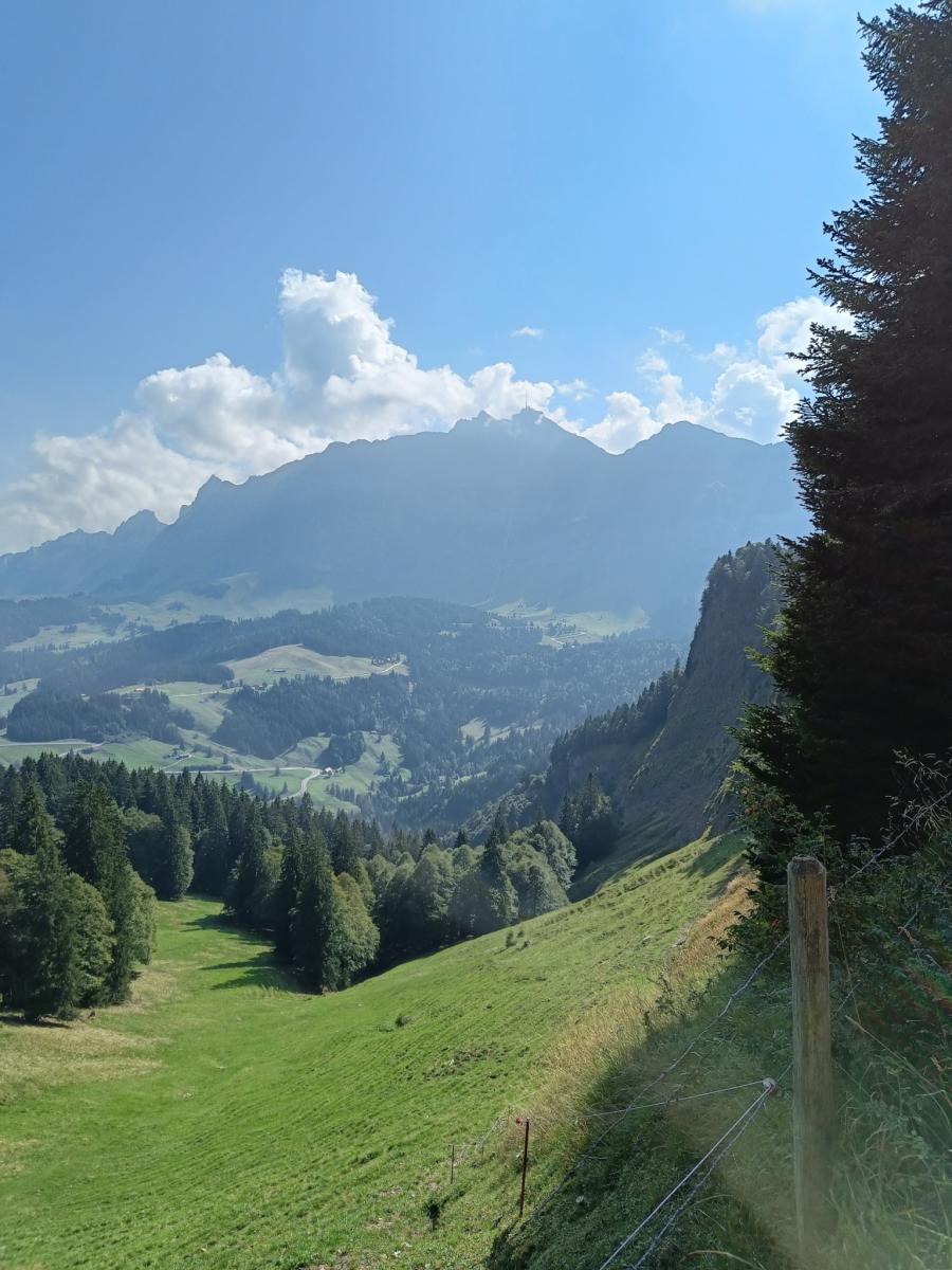 IMG20230909113813