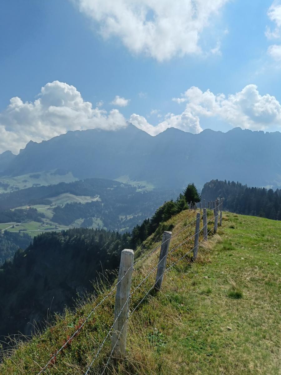 IMG20230909114717