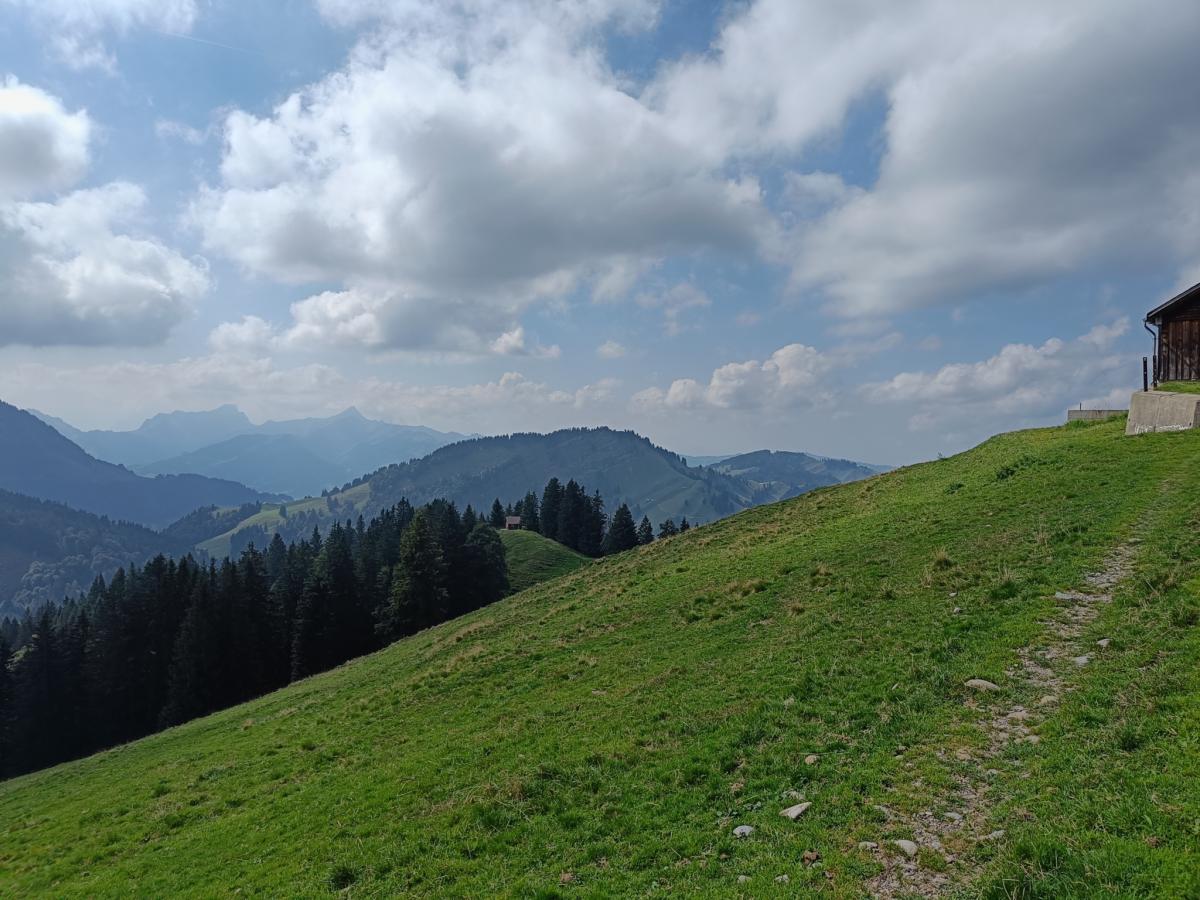 IMG20230909133610