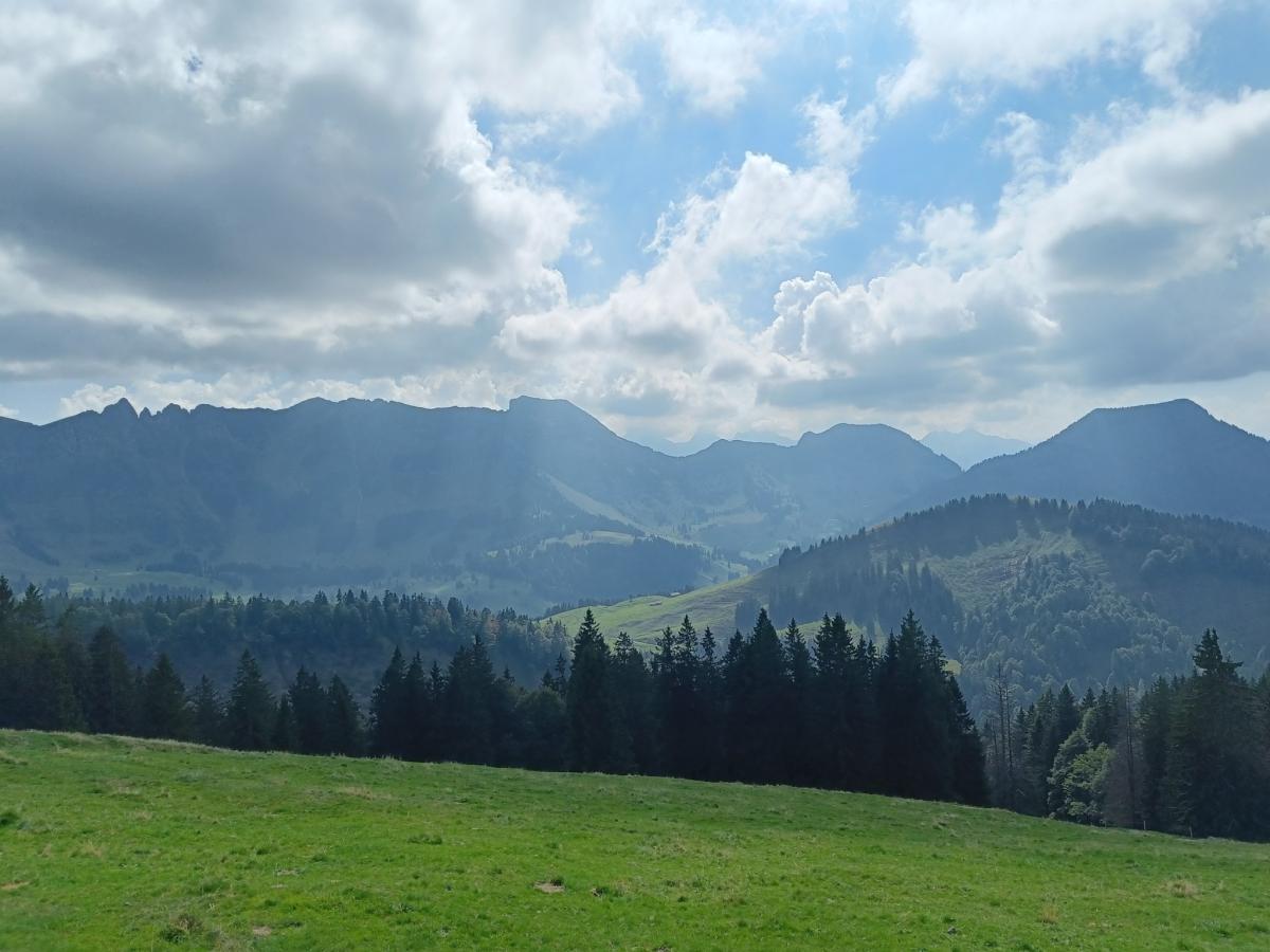 IMG20230909133612