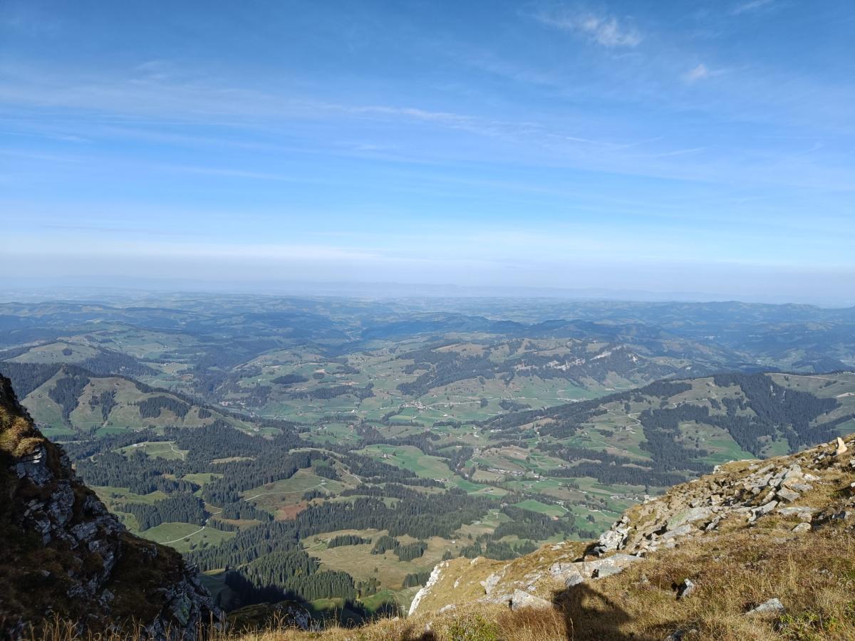 IMG20231012115416