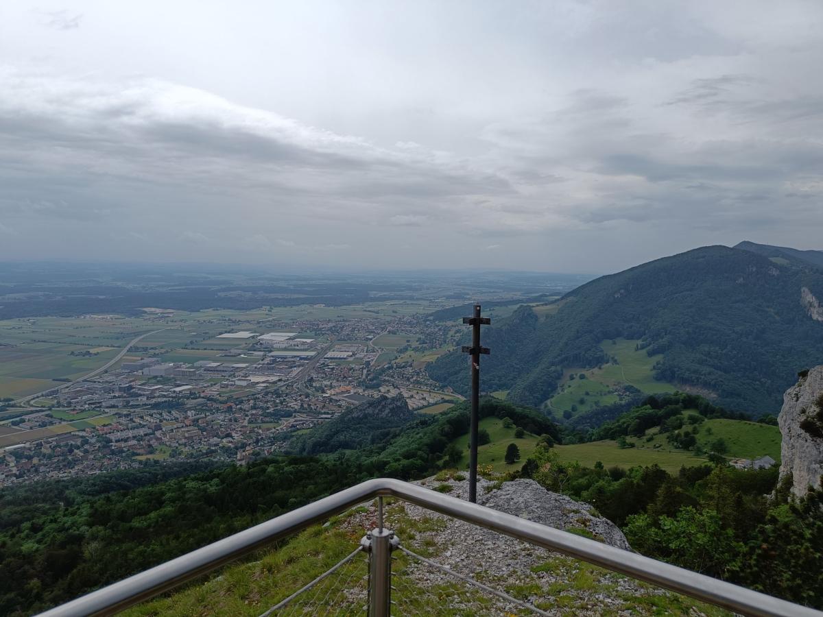 IMG20240608135254
