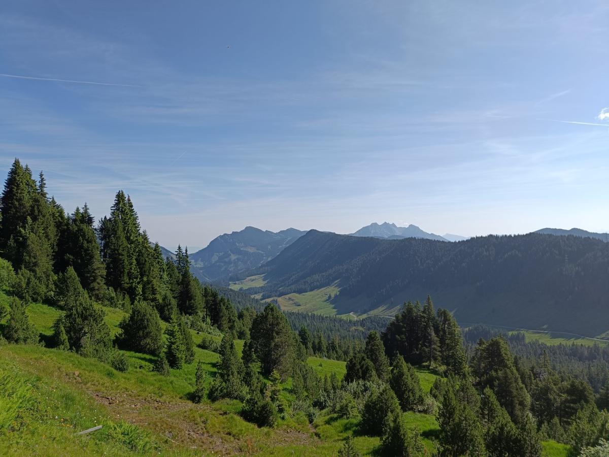 IMG20240719095040