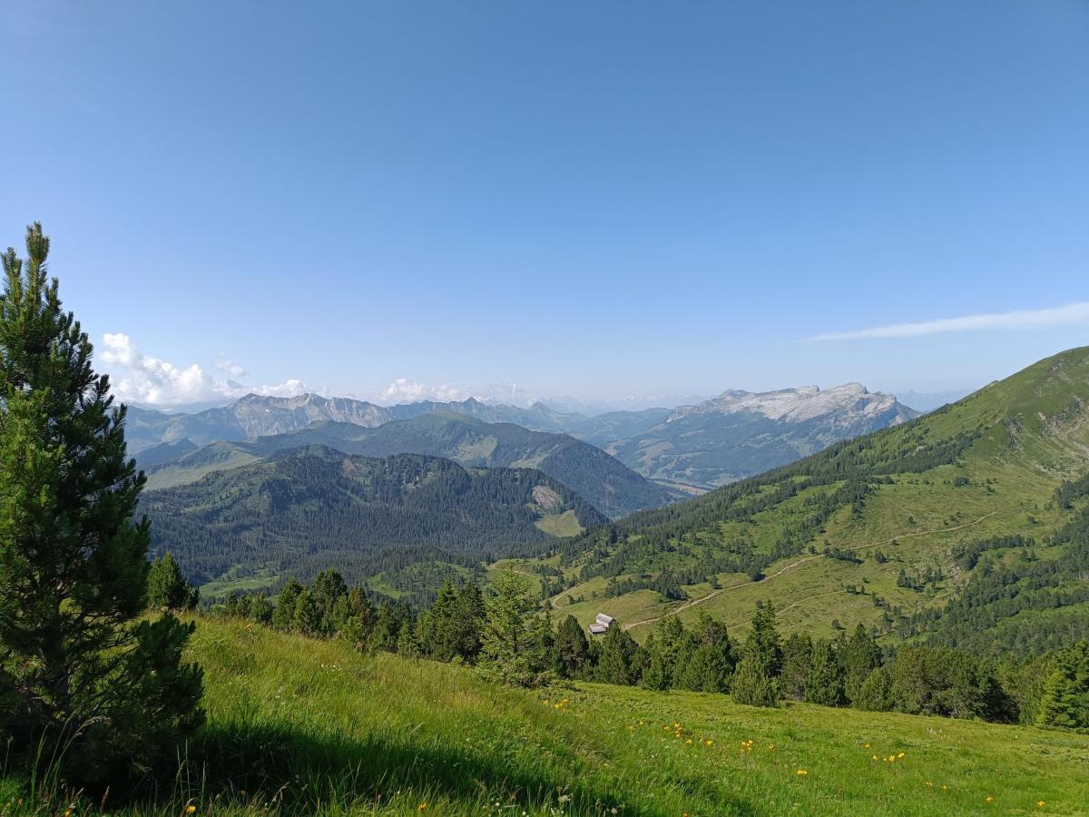 IMG20240719103028