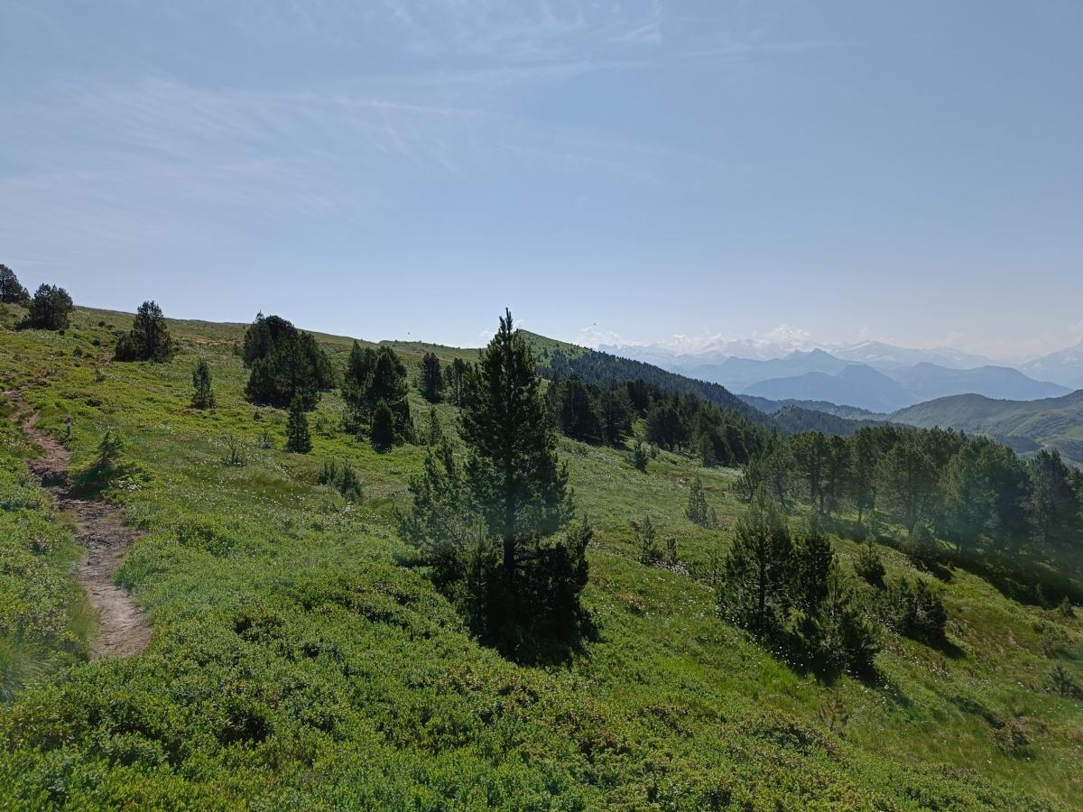 IMG20240719104515