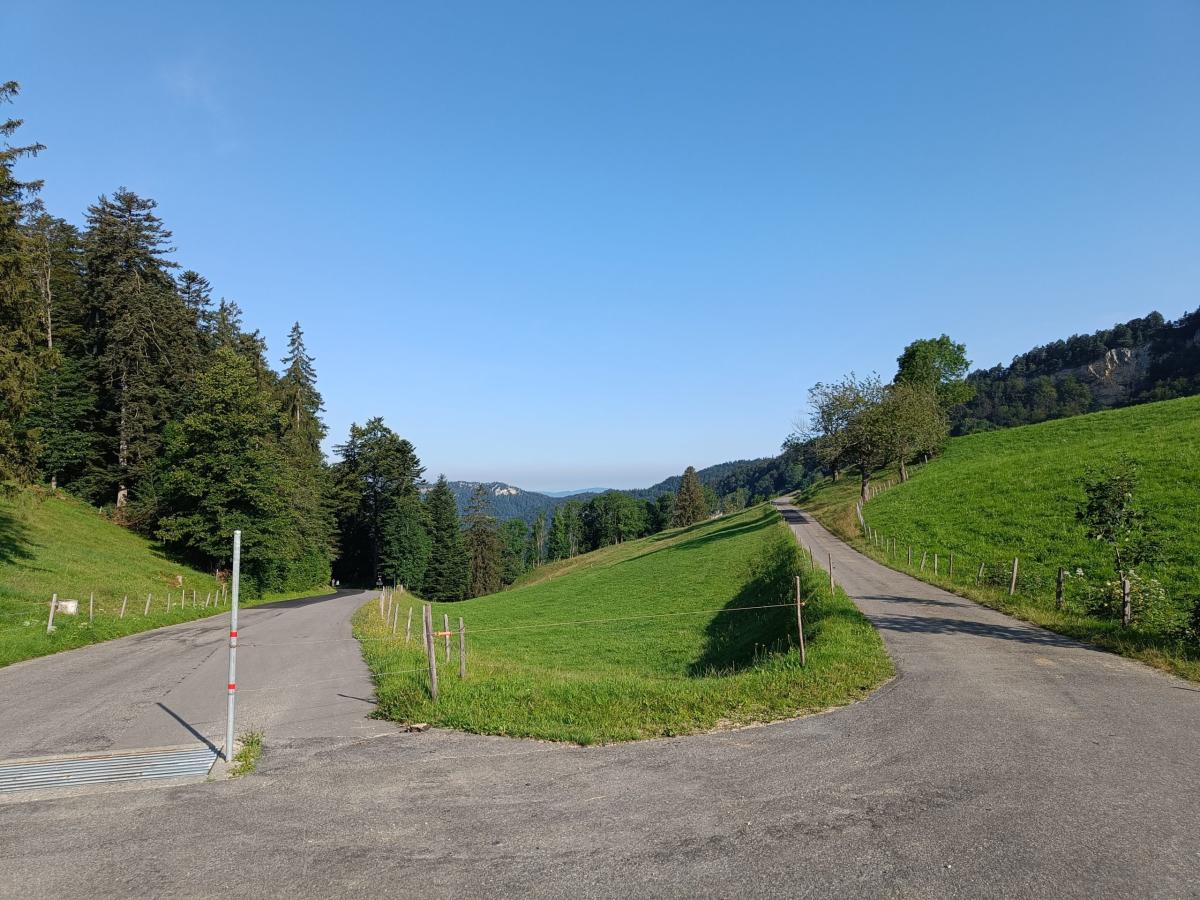 IMG20240725085715