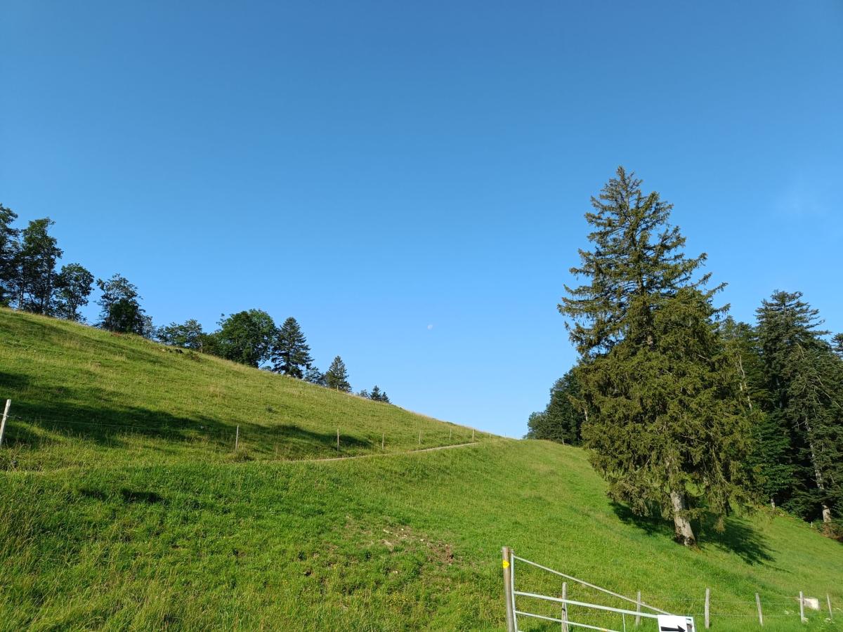 IMG20240725085723
