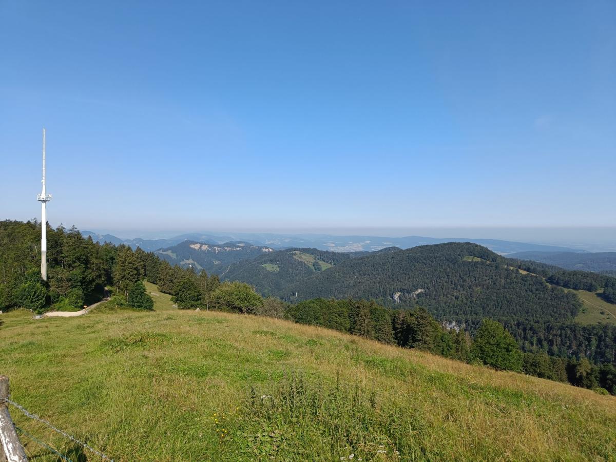 IMG20240725092814
