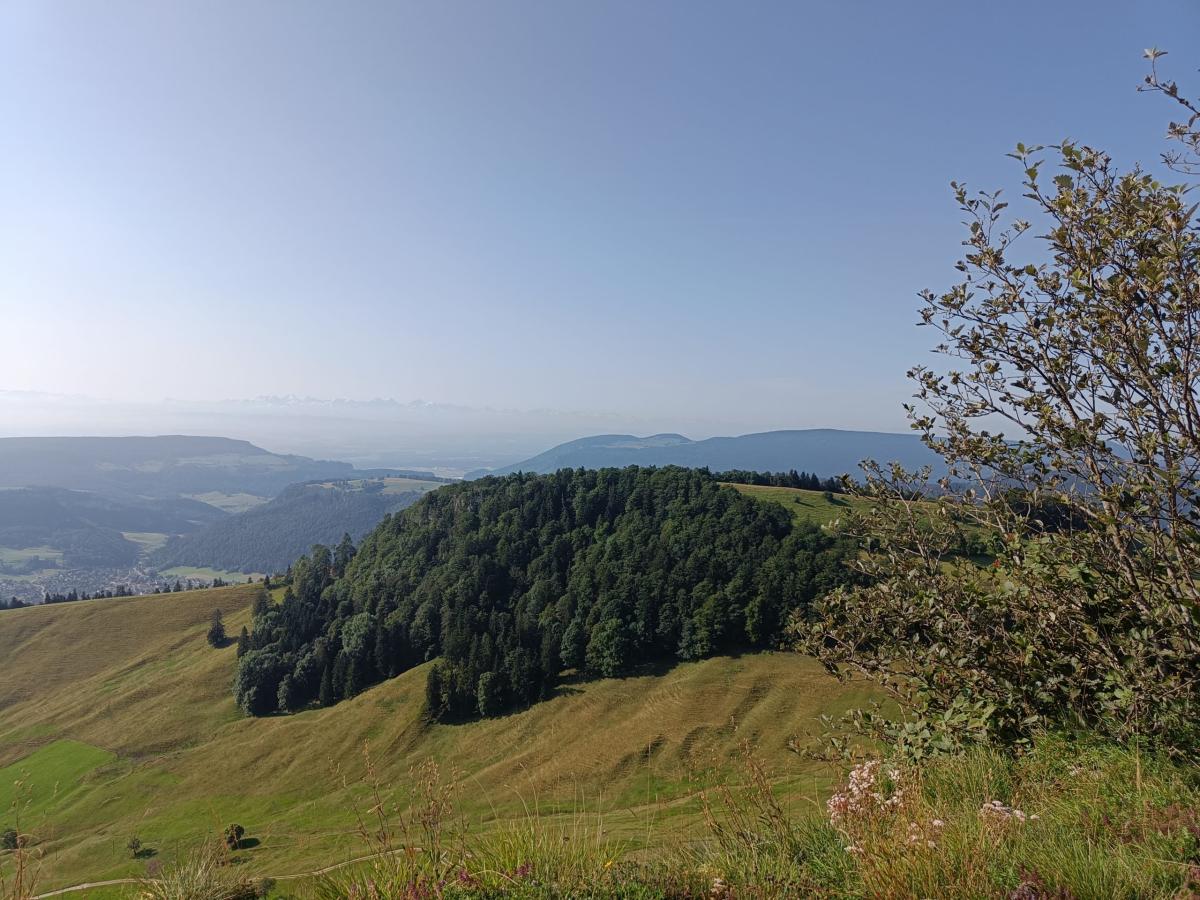 IMG20240725093028 - Kopie