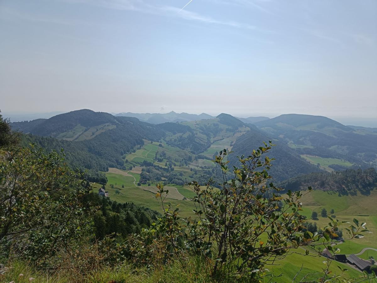 IMG20240725100931 - Kopie