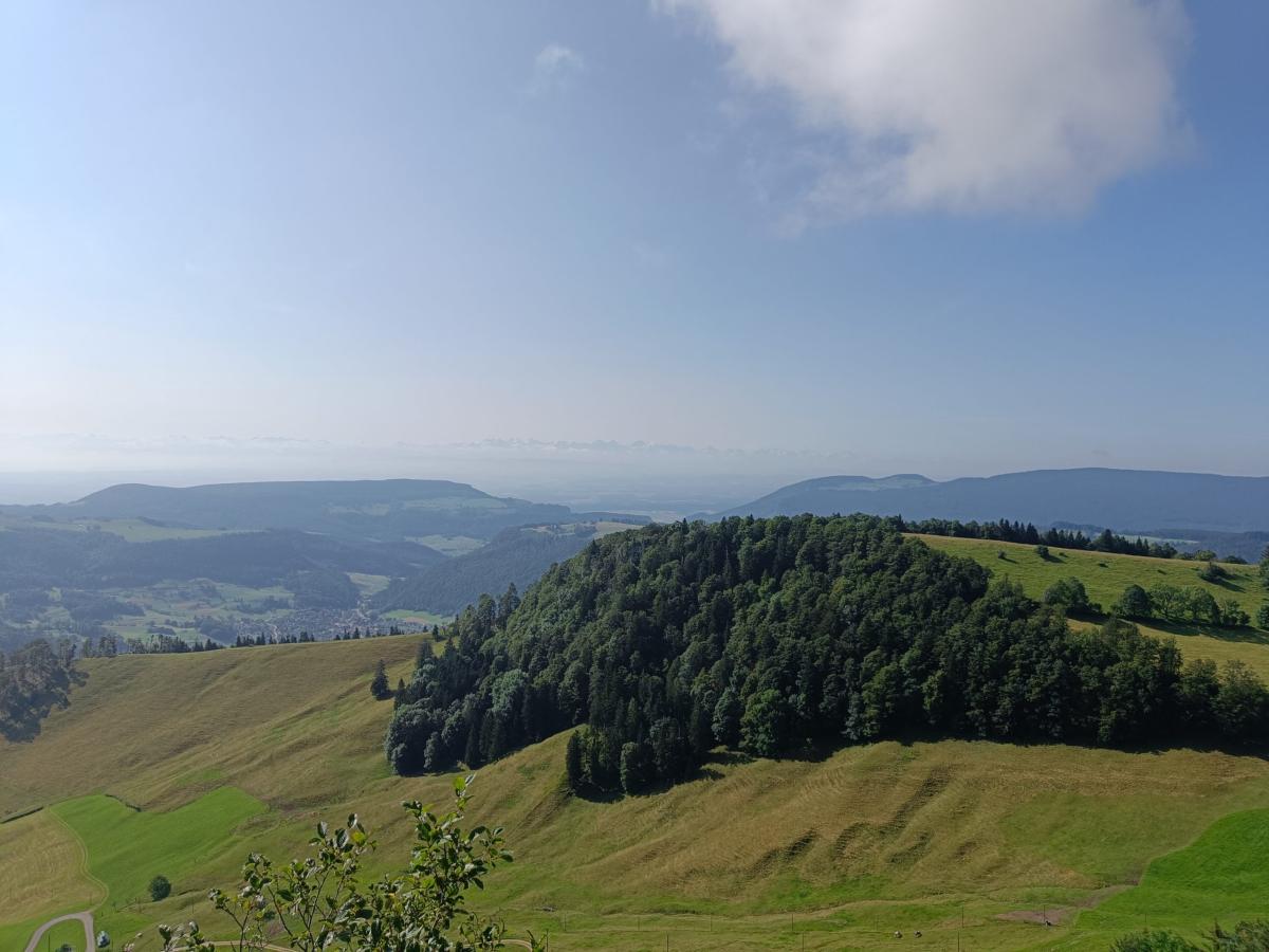 IMG20240725100936 - Kopie