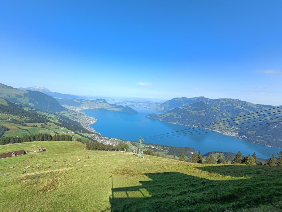IMG20240828104736