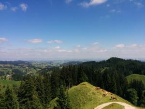 IMG_20170617_113710