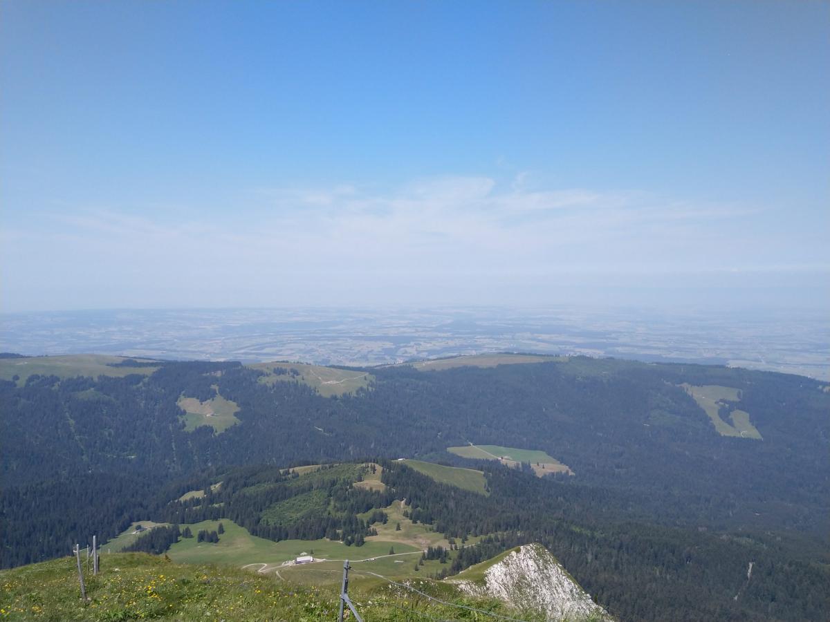 IMG_20210723_124821